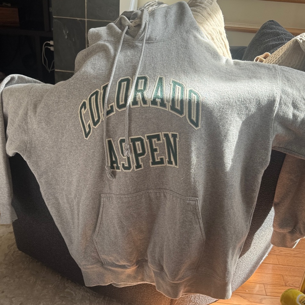 John Galt Gray Hoodie with Green Print